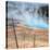 Visit The Grand Prismatic, Yellowstone-Vincent James-Stretched Canvas