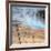 Visit The Grand Prismatic, Yellowstone-Vincent James-Framed Photographic Print