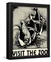 Visit the Zoo 3 Penguins-null-Framed Poster