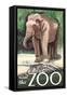 Visit the Zoo, Asian Elephant-Lantern Press-Framed Stretched Canvas