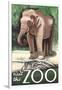 Visit the Zoo, Asian Elephant-Lantern Press-Framed Art Print