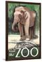 Visit the Zoo, Asian Elephant-Lantern Press-Framed Art Print