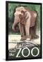 Visit the Zoo, Asian Elephant-Lantern Press-Framed Art Print