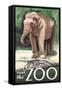 Visit the Zoo, Asian Elephant-Lantern Press-Framed Stretched Canvas