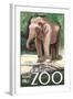 Visit the Zoo, Asian Elephant-Lantern Press-Framed Art Print