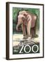 Visit the Zoo, Asian Elephant-Lantern Press-Framed Art Print