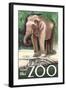 Visit the Zoo, Asian Elephant-Lantern Press-Framed Art Print