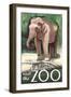 Visit the Zoo, Asian Elephant-Lantern Press-Framed Art Print