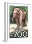 Visit the Zoo, Asian Elephant-Lantern Press-Framed Art Print