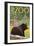 Visit the Zoo, Bear in the Forest-Lantern Press-Framed Art Print