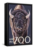 Visit the Zoo, Bison Up Close-Lantern Press-Framed Stretched Canvas