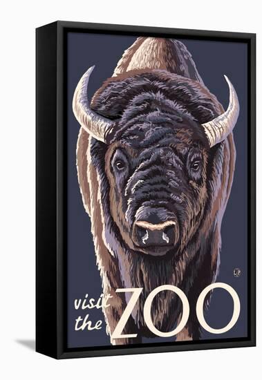 Visit the Zoo, Bison Up Close-Lantern Press-Framed Stretched Canvas