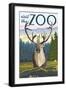 Visit the Zoo, Caribou Front View-Lantern Press-Framed Art Print