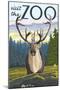 Visit the Zoo, Caribou Front View-Lantern Press-Mounted Art Print