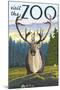 Visit the Zoo, Caribou Front View-Lantern Press-Mounted Art Print