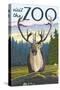 Visit the Zoo, Caribou Front View-Lantern Press-Stretched Canvas
