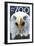 Visit the Zoo, Eagle Up Close-Lantern Press-Framed Art Print