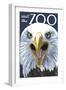 Visit the Zoo, Eagle Up Close-Lantern Press-Framed Art Print