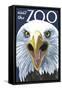 Visit the Zoo, Eagle Up Close-Lantern Press-Framed Stretched Canvas