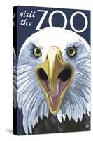 Visit the Zoo, Eagle Up Close-Lantern Press-Stretched Canvas