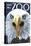 Visit the Zoo, Eagle Up Close-Lantern Press-Stretched Canvas