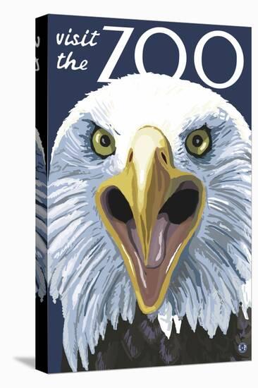 Visit the Zoo, Eagle Up Close-Lantern Press-Stretched Canvas