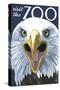 Visit the Zoo, Eagle Up Close-Lantern Press-Stretched Canvas