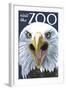 Visit the Zoo, Eagle Up Close-Lantern Press-Framed Art Print