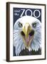 Visit the Zoo, Eagle Up Close-Lantern Press-Framed Art Print