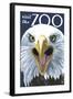 Visit the Zoo, Eagle Up Close-Lantern Press-Framed Art Print