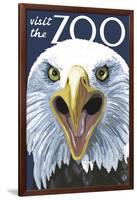 Visit the Zoo, Eagle Up Close-Lantern Press-Framed Art Print