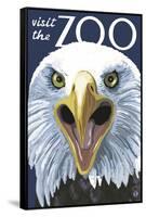 Visit the Zoo, Eagle Up Close-Lantern Press-Framed Stretched Canvas