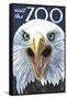 Visit the Zoo, Eagle Up Close-Lantern Press-Framed Stretched Canvas