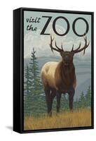 Visit the Zoo, Elk Solo-Lantern Press-Framed Stretched Canvas