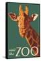 Visit the Zoo, Giraffe Up Close-Lantern Press-Framed Stretched Canvas