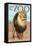 Visit the Zoo, Lion Scene-Lantern Press-Framed Stretched Canvas