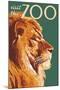 Visit the Zoo, Lion Up Close-Lantern Press-Mounted Art Print