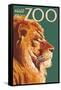 Visit the Zoo, Lion Up Close-Lantern Press-Framed Stretched Canvas