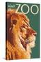 Visit the Zoo, Lion Up Close-Lantern Press-Stretched Canvas