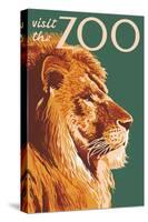 Visit the Zoo, Lion Up Close-Lantern Press-Stretched Canvas