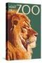 Visit the Zoo, Lion Up Close-Lantern Press-Stretched Canvas