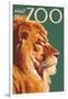 Visit the Zoo, Lion Up Close-Lantern Press-Framed Art Print