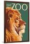 Visit the Zoo, Lion Up Close-Lantern Press-Framed Art Print