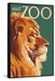 Visit the Zoo, Lion Up Close-Lantern Press-Framed Stretched Canvas