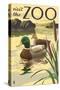 Visit the Zoo, Mallard Ducks Scene-Lantern Press-Stretched Canvas