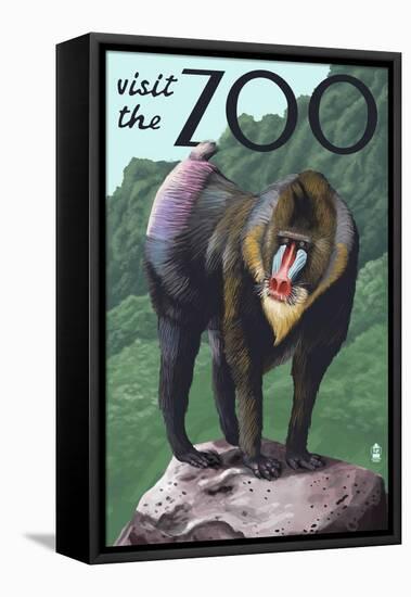 Visit the Zoo, Mandrill Scene-Lantern Press-Framed Stretched Canvas