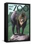 Visit the Zoo, Mandrill Scene-Lantern Press-Framed Stretched Canvas