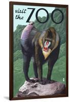 Visit the Zoo, Mandrill Scene-Lantern Press-Framed Art Print