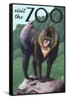 Visit the Zoo, Mandrill Scene-Lantern Press-Framed Stretched Canvas