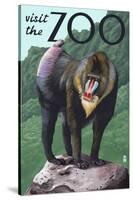 Visit the Zoo, Mandrill Scene-Lantern Press-Stretched Canvas